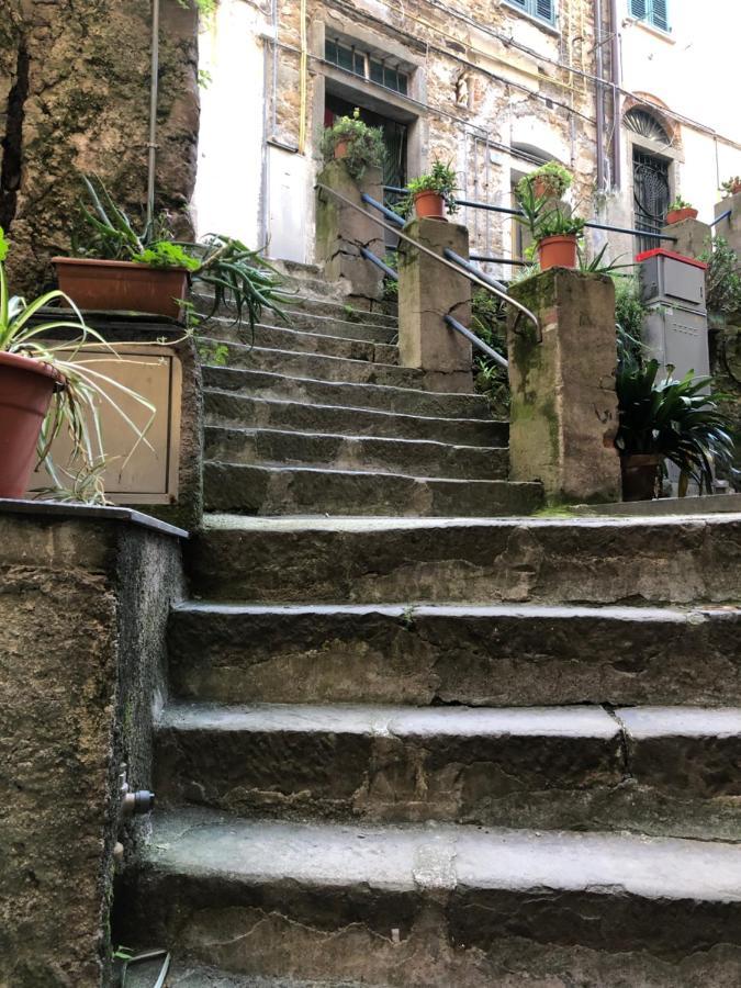 Camera Rio In The Center City In ريوماجّوري المظهر الخارجي الصورة